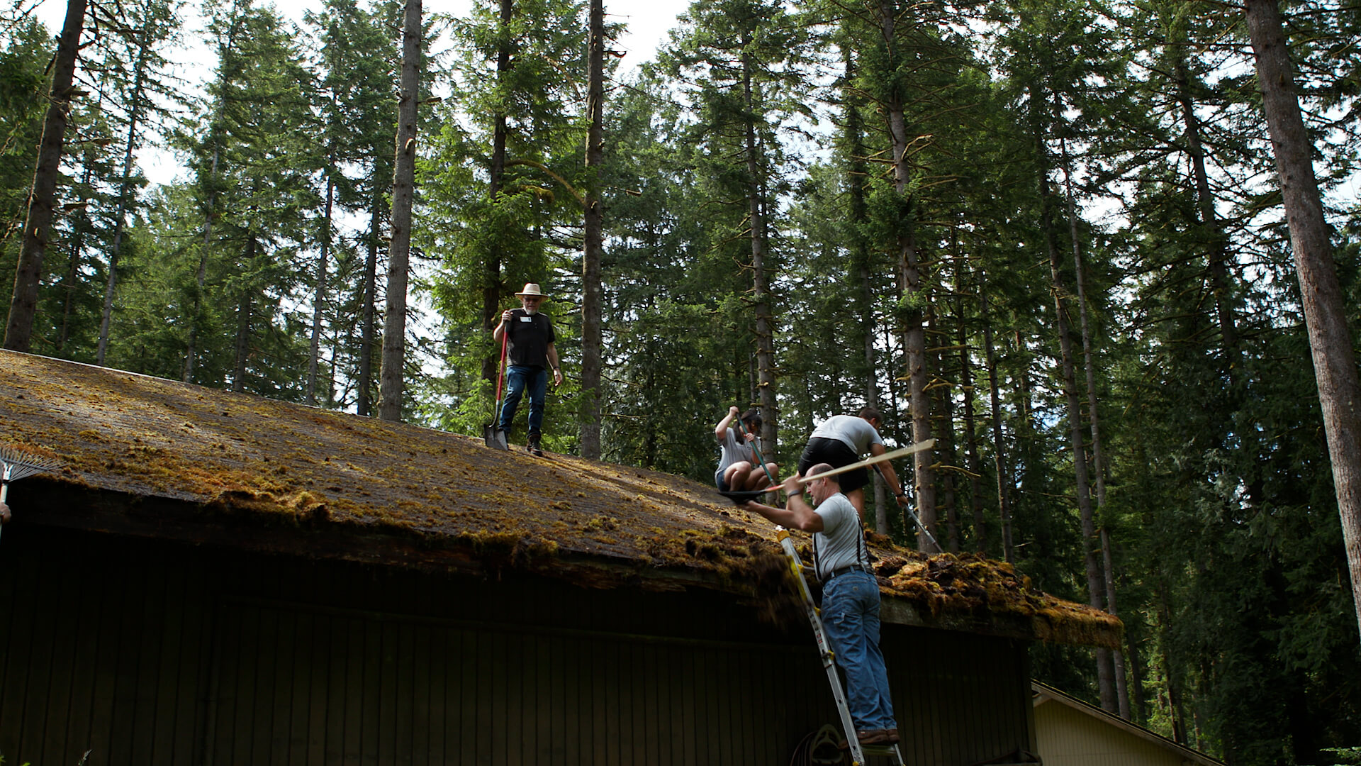 men cleaning moss off roof